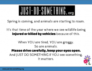 Just-Do-Something.org Janet Bovitz Sandefur Animal Advocacy Animal Welfare
