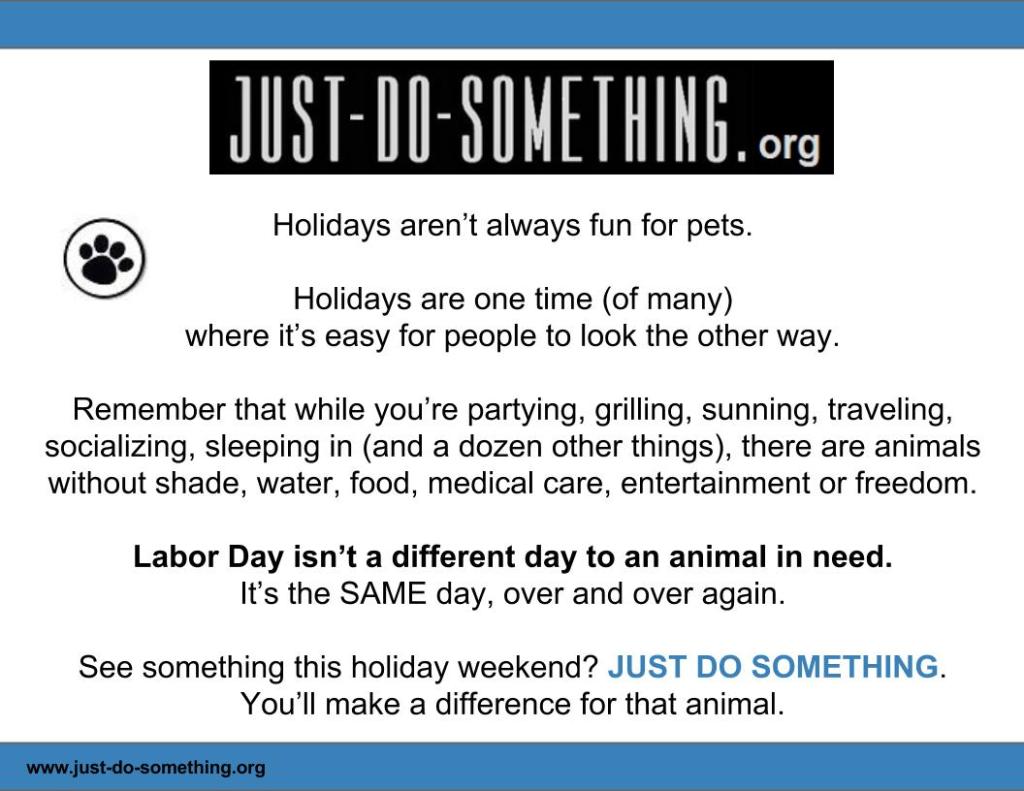 Animal Advocacy Blog Picture Janet Bovitz Sandefur just-do-something.org